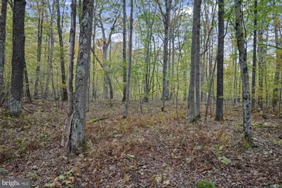 19 Ferguson Circle, Mc Henry, MD 21541 - Photo 27