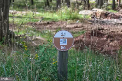 Lot 86 Falcon Way, Mc Henry, MD 21541 - Photo 3