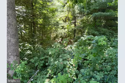 301 Northeast Road, Aberdeen, MD 21001 - Photo 5