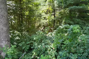 301 Northeast Rd, Aberdeen, MD 21001 - Photo 5