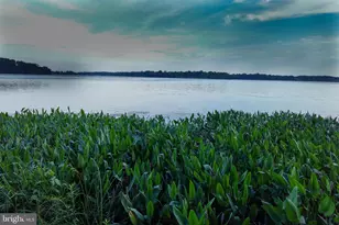 1203 Van Bibber Rd, Edgewood, MD 21040 - Photo 31