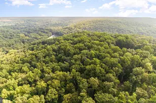 2949 Conowingo Rd, Bel Air, MD 21015 - Photo 11