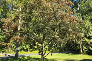 10 Forest Green Rd, Aberdeen, MD 21001 - Photo 31