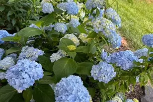 1119 Sunset Dr, Bel Air, MD 21014 - Photo 49