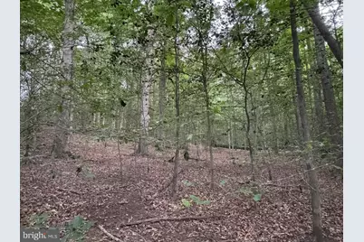 3515 Clayton Road, Joppa, MD 21085 - Photo 11