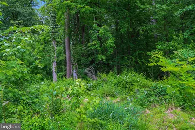 Evan Avenue, Aberdeen, MD 21001 - Photo 55