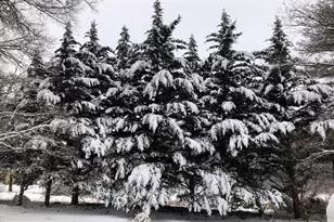 1201 N Tollgate Rd, Bel Air, MD 21014 - Photo 37