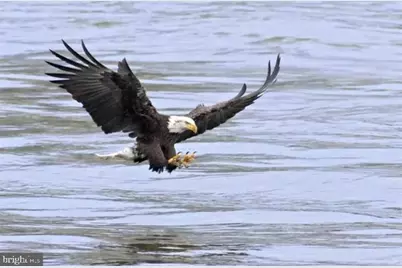 247 Fountain Street, Havre de Grace, MD 21078 - Photo 59