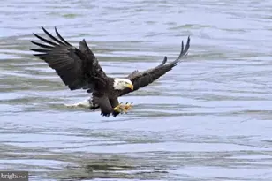 247 Fountain St, Havre de Grace, MD 21078 - Photo 59