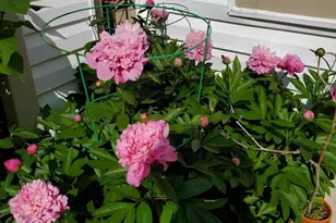 602 Churchill Rd, Bel Air, MD 21014 - Photo 29