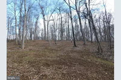 3909 River Road, Darlington, MD 21034 - Photo 5