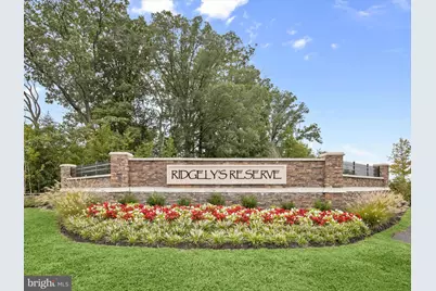 1003 Bunch Berry Drive, Joppa, MD 21085 - Photo 29