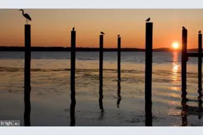 247-C Fountain Street #82, Havre de Grace, MD 21078 - Photo 21