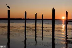 247-C Fountain St, Havre de Grace, MD 21078 - Photo 21