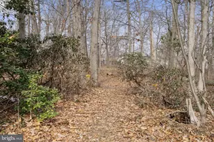 311 Summerfield Ct, Joppa, MD 21085 - Photo 43