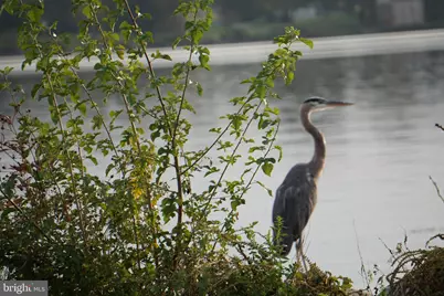 299 Girard Street #299-C, Havre de Grace, MD 21078 - Photo 25