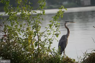 299 Girard St, Havre de Grace, MD 21078 - Photo 25