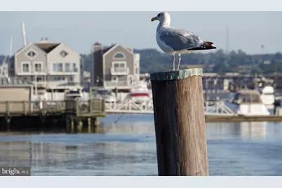 299 Girard Street #299-C, Havre de Grace, MD 21078 - Photo 27