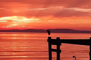 299 Girard St, Havre de Grace, MD 21078 - Photo 33