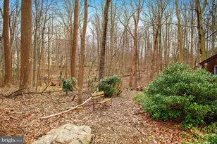 127 Briarcliff Ln, Bel Air, MD 21014 - Photo 43