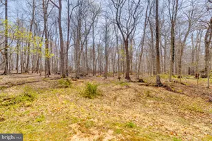 1805 Shirley Ave, Joppa, MD 21085 - Photo 31