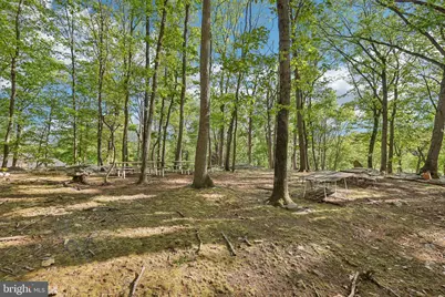 3632 Burkins Road, Street, MD 21154 - Photo 93