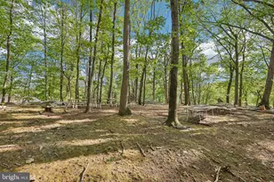 3632 Burkins Rd, Street, MD 21154 - Photo 93