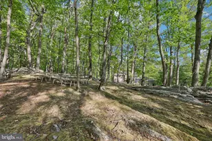 3632 Burkins Rd, Street, MD 21154 - Photo 95