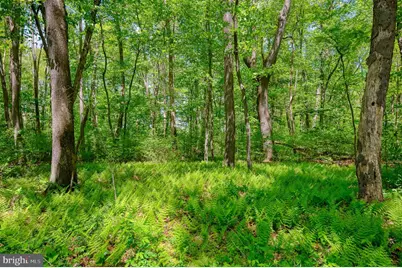 3919 Emrick Lane, Jarrettsville, MD 21084 - Photo 41