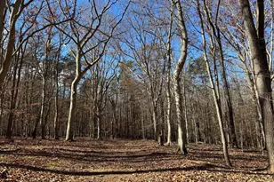 3515 Clayton Rd, Joppa, MD 21085 - Photo 37