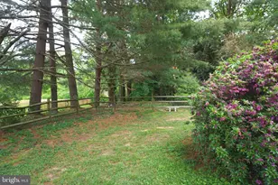 1304 Chez Ct, Fallston, MD 21047 - Photo 5
