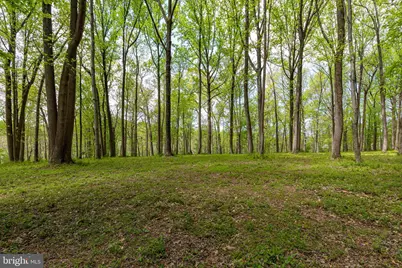 2310 Putnam Road, Forest Hill, MD 21050 - Photo 23