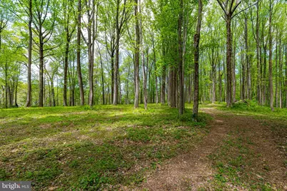 2310 Putnam Road, Forest Hill, MD 21050 - Photo 17