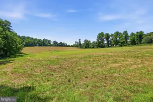 3555 Mill Green Rd, Street, MD 21154 - Photo 73