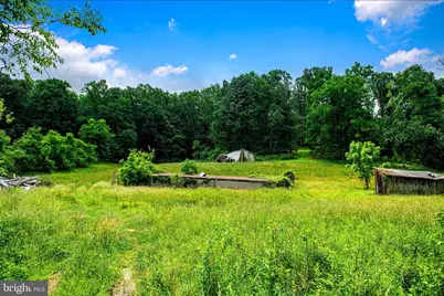 3531 Miller Road, Street, MD 21154 - Photo 49