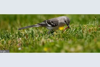 2624 Rocks Road, Forest Hill, MD 21050 - Photo 49