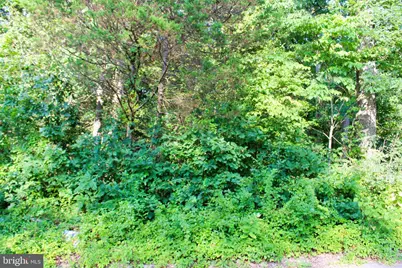 Mandeville Road, Joppa, MD 21085 - Photo 7