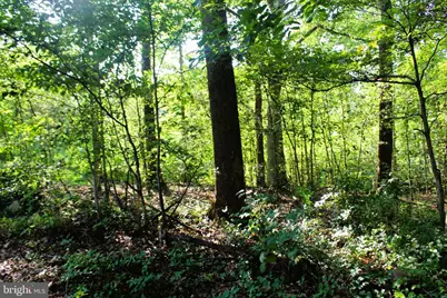 Mandeville Road, Joppa, MD 21085 - Photo 3