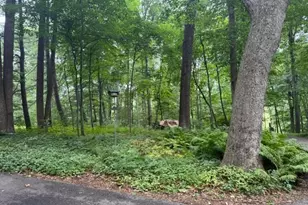 2749 Greene Ln, Baldwin, MD 21013 - Photo 13