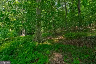 2525 Friendship Road, Fallston, MD 21047 - Photo 17