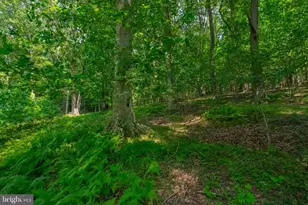 2525 Friendship Rd, Fallston, MD 21047 - Photo 17
