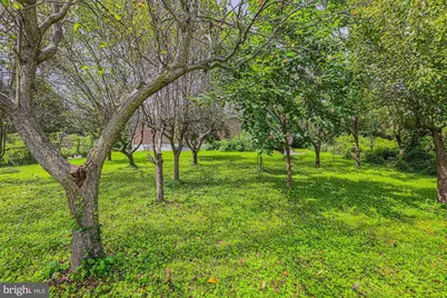 39 Idlewild Street, Bel Air, MD 21014 - Photo 45