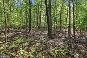 1235 Old Pylesville Rd, Whiteford, MD 21160 - Photo 71
