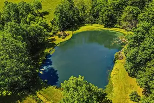 16449 Ed Warfield Rd, Woodbine, MD 21797 - Photo 91