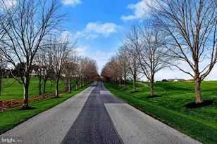 15309 Leondina Dr, Glenwood, MD 21738 - Photo 23