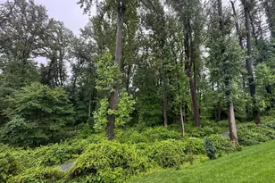 2410 Vineyard Spgs Wy, Ellicott City, MD 21043 - Photo 41