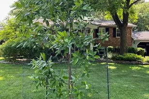 6725 Pine Dr, Columbia, MD 21046 - Photo 55