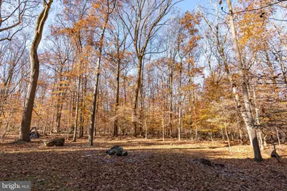 9512 White Spring Way, Columbia, MD 21046 - Photo 39