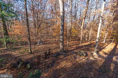 9512 White Spring Way, Columbia, MD 21046 - Photo 41