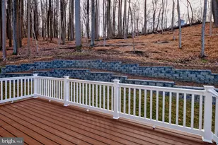 4496 Ilchester Rd, Ellicott City, MD 21043 - Photo 57